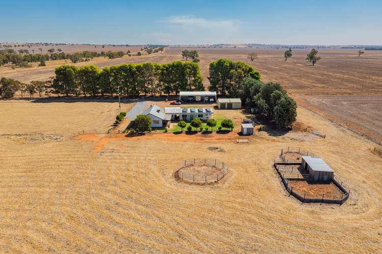 Main view of Homely house listing, 799 Hodges Lane, Marrar NSW 2652