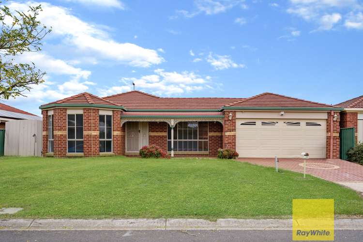 Main view of Homely house listing, 19 Wood Grove, Burnside VIC 3023