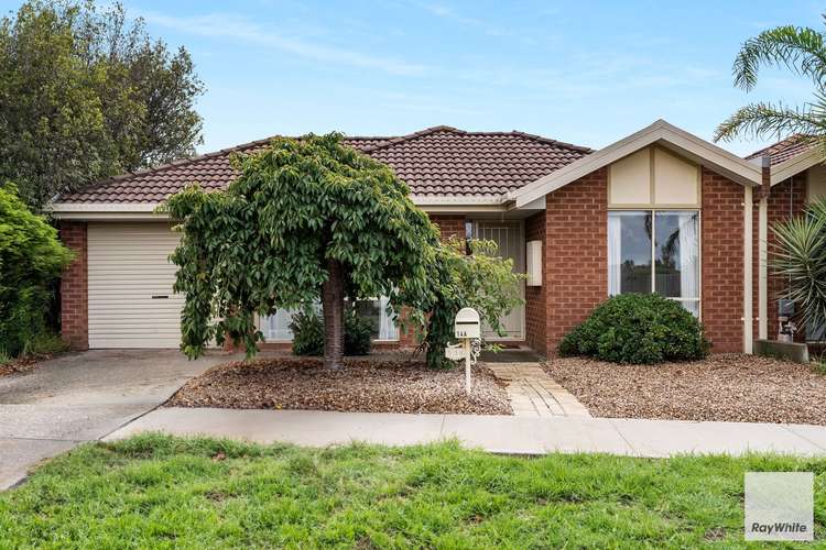 Main view of Homely house listing, 14A Santolin Drive, Hillside VIC 3037