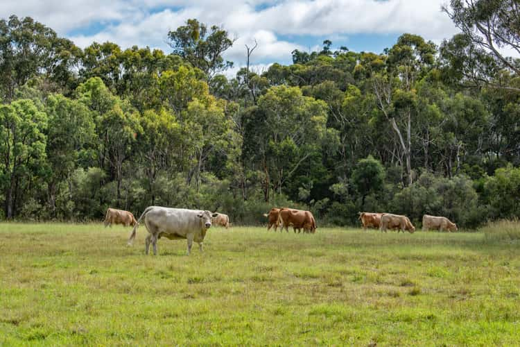 682 Cannon Creek Road, Bapaume QLD 4352