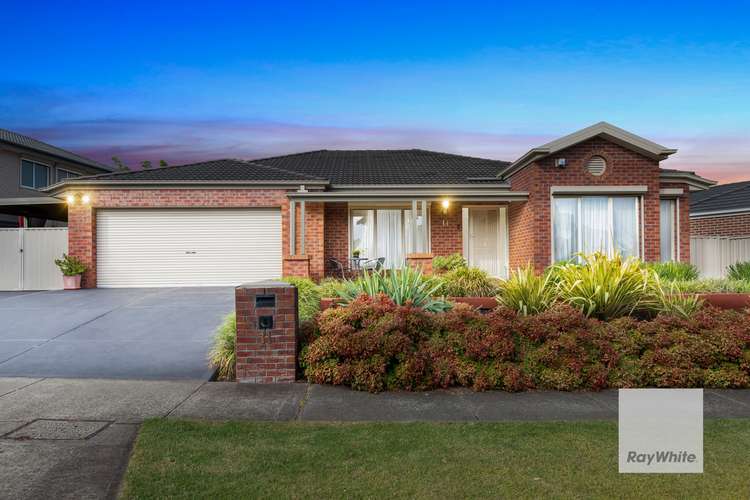 Main view of Homely house listing, 11 Glenbrook Avenue, Cairnlea VIC 3023