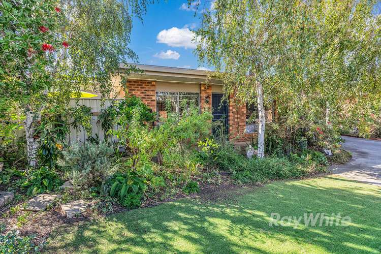 Main view of Homely unit listing, 6/99-101 Shackell Street, Echuca VIC 3564