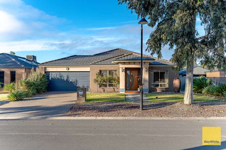 37 Elandra Drive, Ascot VIC 3551