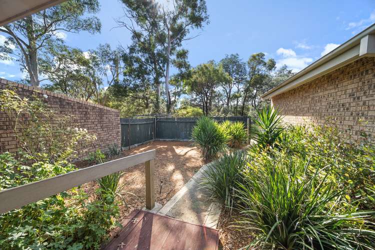 Main view of Homely townhouse listing, 4/33 Hargrave Street, Scullin ACT 2614
