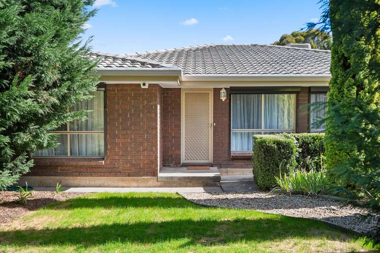 Main view of Homely house listing, 104 Ladywood Road, Modbury Heights SA 5092