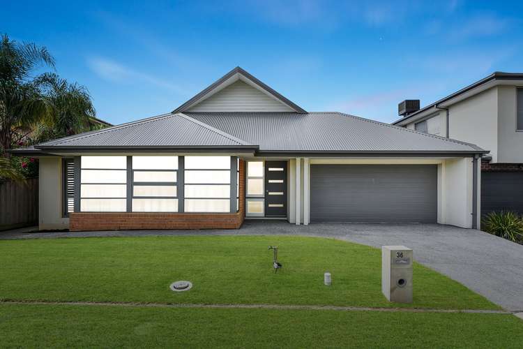 Main view of Homely house listing, 36 Rogers Close, Berwick VIC 3806