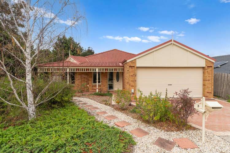 3 Blue Gum Mews, Langwarrin VIC 3910