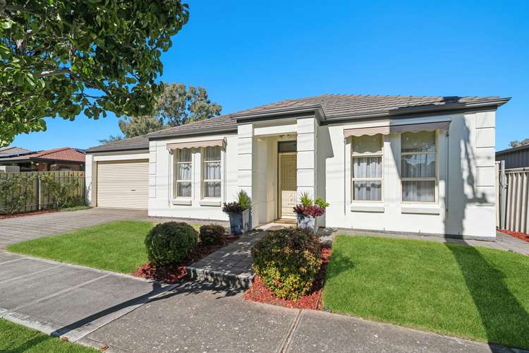 20 Albert Avenue, Camden Park SA 5038