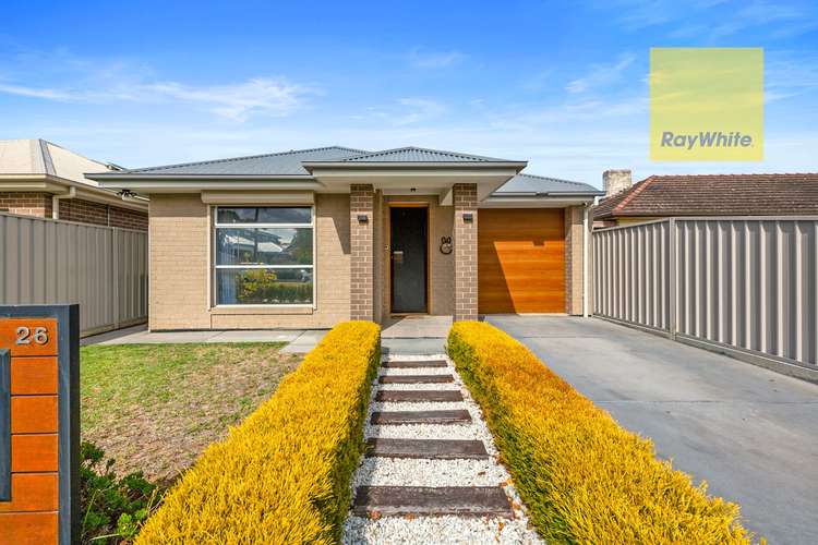 26 Masters Avenue, Marion SA 5043