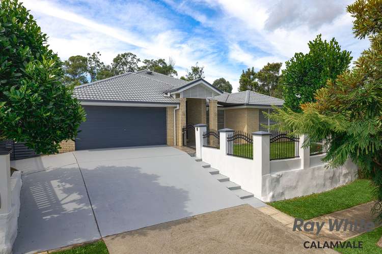 Main view of Homely house listing, 19 Tweeddale Circuit, Drewvale QLD 4116