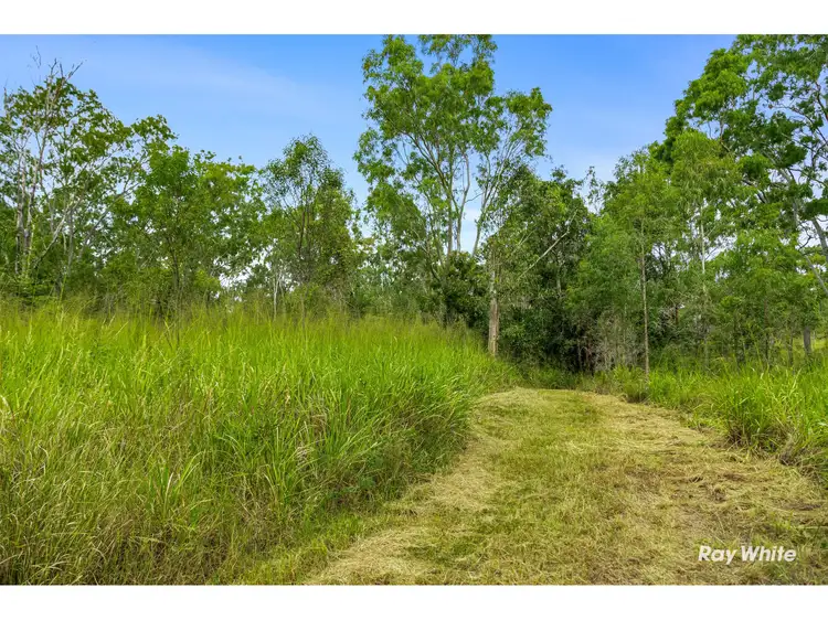 Second view of Homely rural property listing, 104-166 Auton And Johnsons Road, The Caves QLD 4702