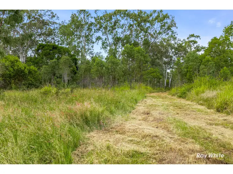 Sixth view of Homely rural property listing, 104-166 Auton And Johnsons Road, The Caves QLD 4702