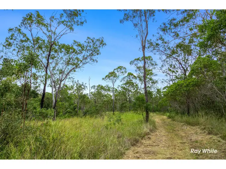 Seventh view of Homely rural property listing, 104-166 Auton And Johnsons Road, The Caves QLD 4702