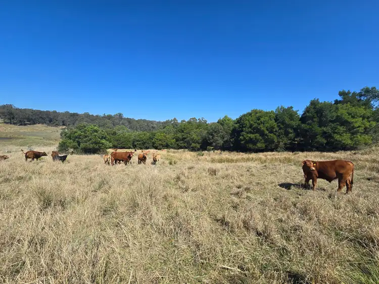 Fourth view of Homely rural property listing, 42 Austin Road, Crows Nest QLD 4355
