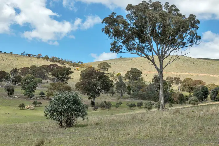 Sixth view of Homely land listing, Lot 2 588 Nanima Road, Springrange NSW 2618