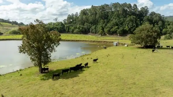 Third view of Homely rural property listing, 2140 Waukivory Road, Waukivory NSW 2422