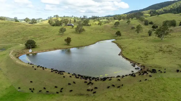Fourth view of Homely rural property listing, 2140 Waukivory Road, Waukivory NSW 2422