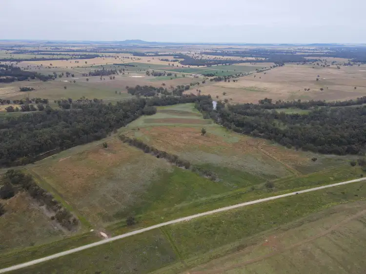 Second view of Homely rural property listing, 303 North Condobolin Road, Warroo NSW 2871