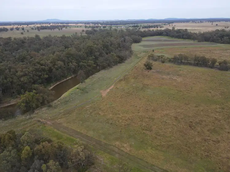 Fourth view of Homely rural property listing, 303 North Condobolin Road, Warroo NSW 2871