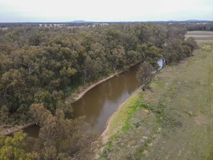 Fifth view of Homely rural property listing, 303 North Condobolin Road, Warroo NSW 2871