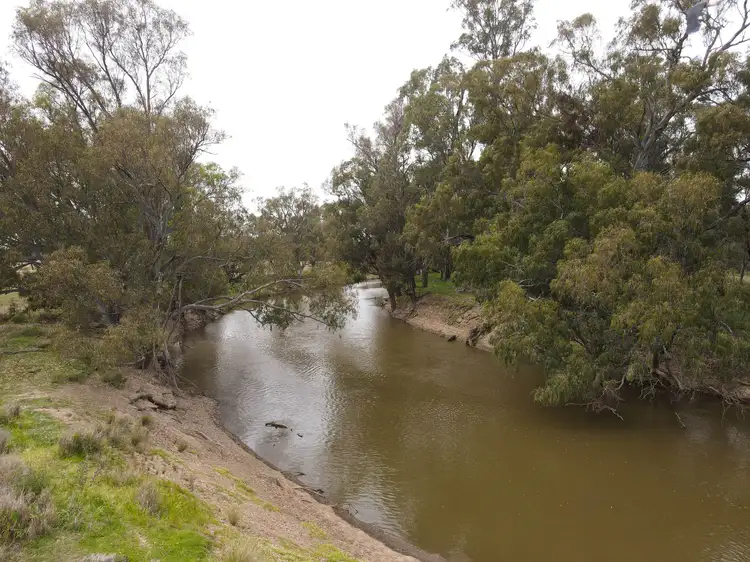 Seventh view of Homely rural property listing, 303 North Condobolin Road, Warroo NSW 2871