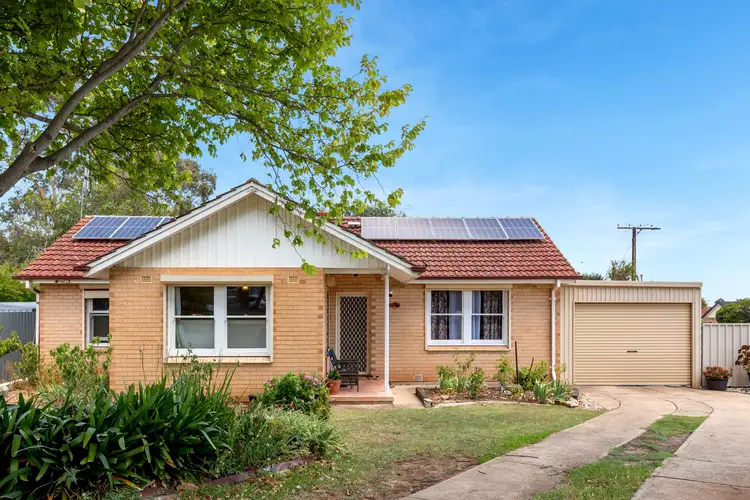 Main view of Homely house listing, 17 Bridport Street, Elizabeth Park SA 5113