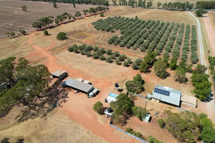 Main view of Homely rural property listing, 9 The Mcgrane Way, Tullamore NSW 2874