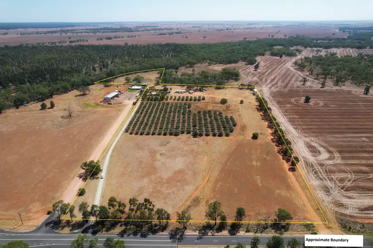 Second view of Homely rural property listing, 9 The Mcgrane Way, Tullamore NSW 2874