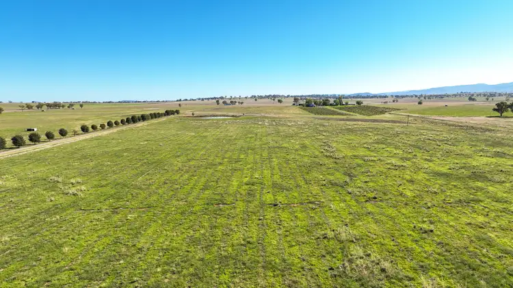 Fifth view of Homely rural property listing, 340 Old Winton Road, Tamworth NSW 2340