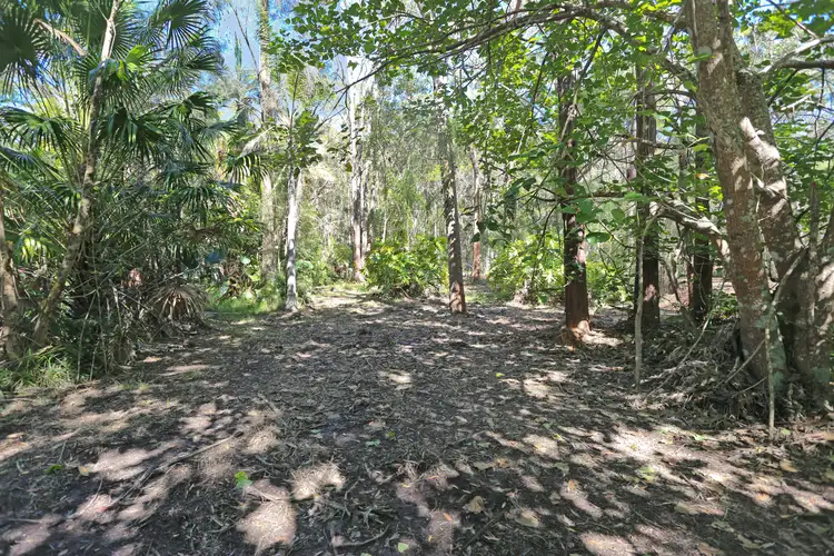 Second view of Homely rural property listing, 210 Violet Hill Road, Boolambayte NSW 2423