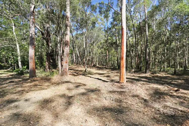 Fourth view of Homely rural property listing, 210 Violet Hill Road, Boolambayte NSW 2423
