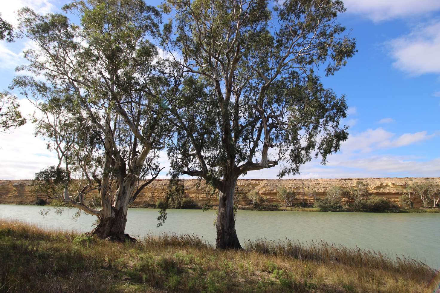 Main view of Homely ruralOther listing, 3889 Murraylands Road, Blanchetown SA 5357