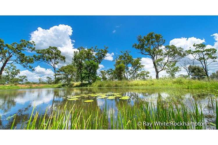 Third view of Homely ruralOther listing, 32 Colliver Road, Alton Downs QLD 4702