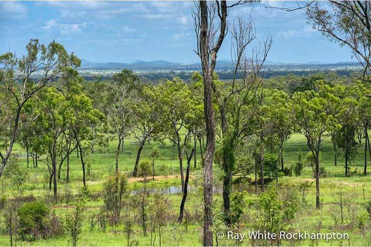 Fifth view of Homely ruralOther listing, 32 Colliver Road, Alton Downs QLD 4702