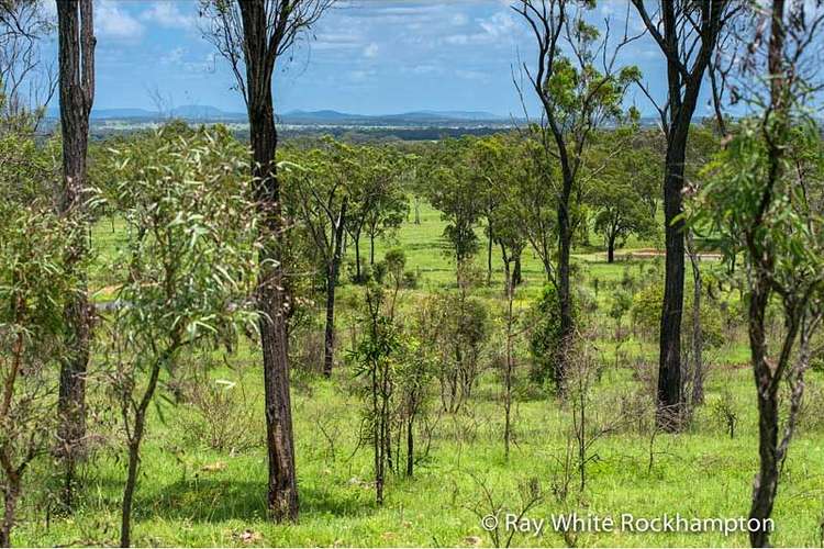 Sixth view of Homely ruralOther listing, 32 Colliver Road, Alton Downs QLD 4702