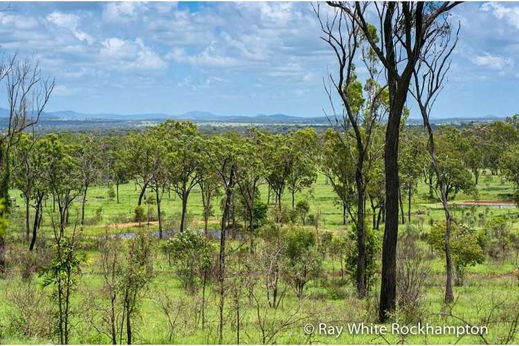 Seventh view of Homely ruralOther listing, 32 Colliver Road, Alton Downs QLD 4702