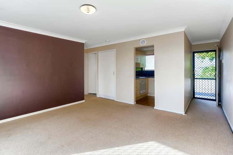 Main view of Homely unit listing, 14/40 Pine St, Bulimba QLD