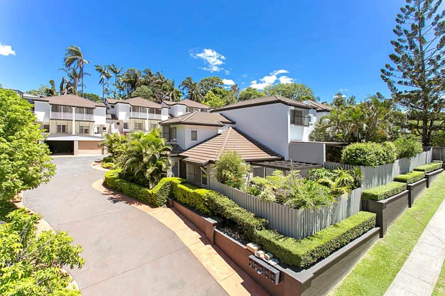 Main view of Homely townhouse listing, 3/50 MacDonnell Street, Toowong QLD 4066