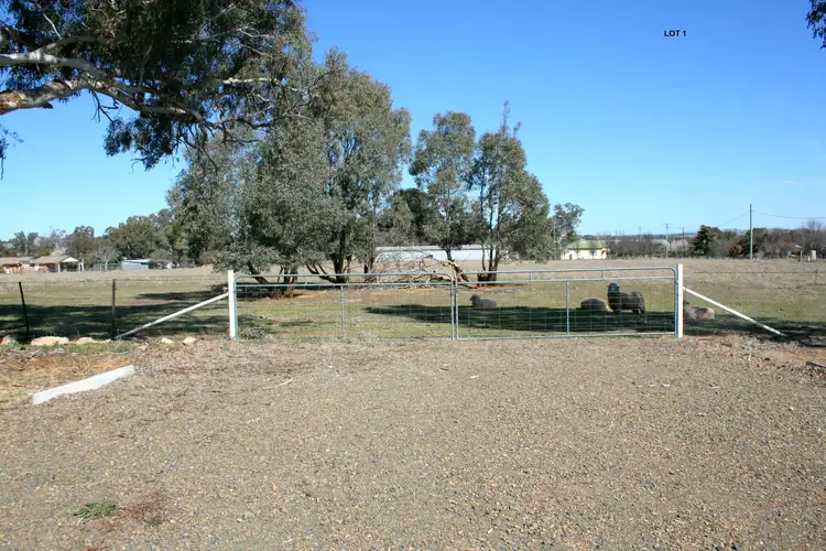 Lot 1 Tilga Street, Canowindra NSW 2804