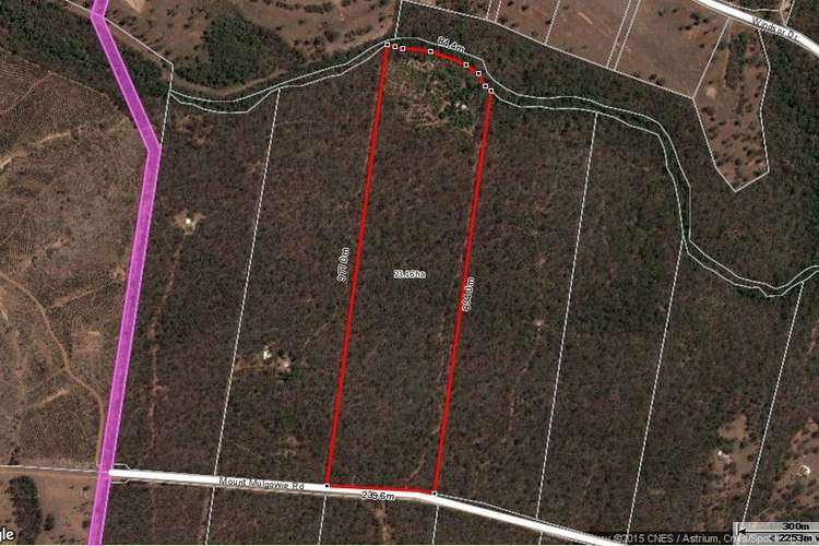 Third view of Homely ruralOther listing, 250 Mount Mulgowie Road, Buaraba QLD 4311