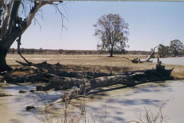 Sixth view of Homely ruralOther listing, Section 26 Murraylands Road, Blanchetown SA 5357