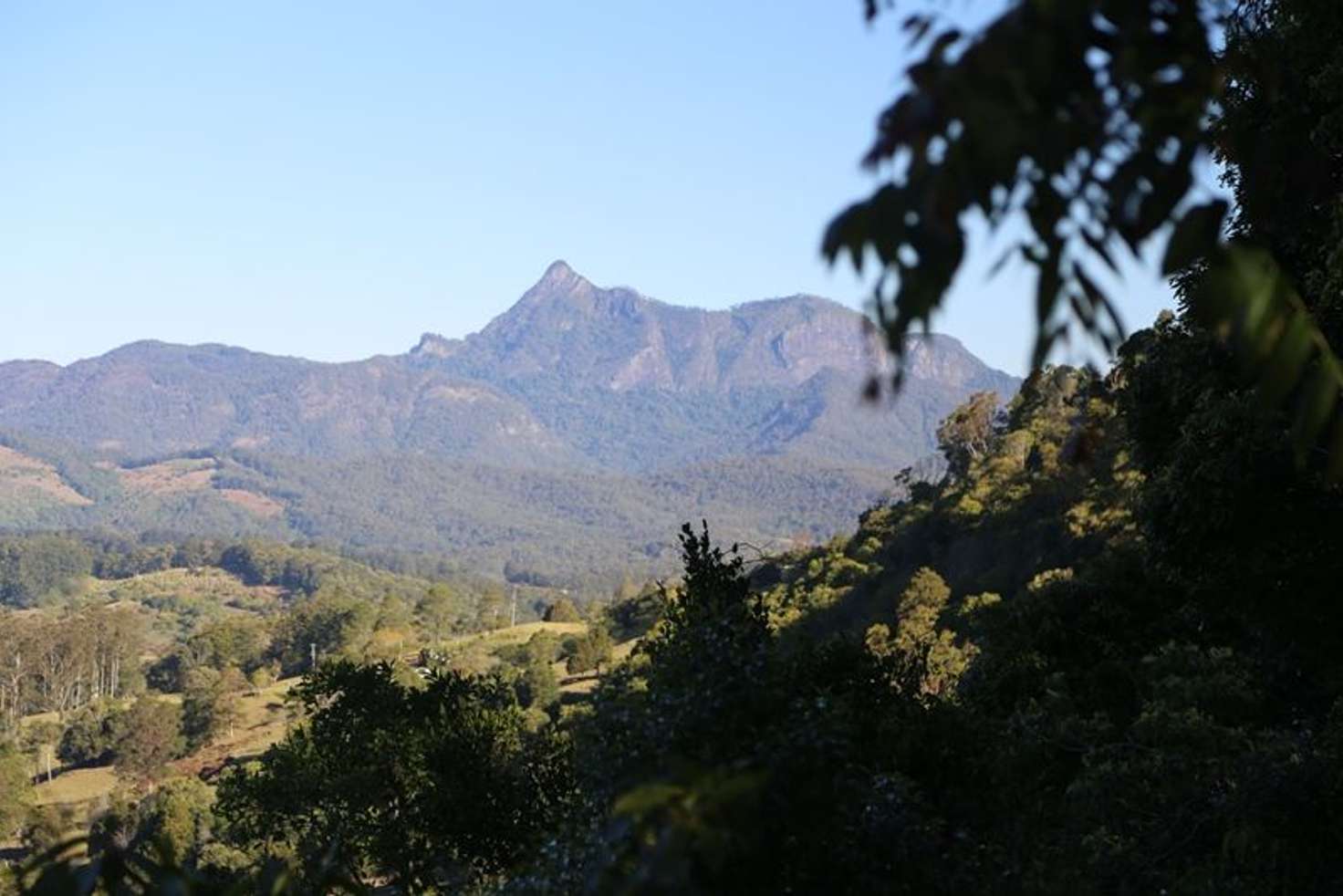 Main view of Homely ruralOther listing, 3537 Nerang Murwillumbah Road, Natural Bridge QLD 4211