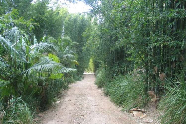 Third view of Homely ruralOther listing, 3537 Nerang Murwillumbah Road, Natural Bridge QLD 4211