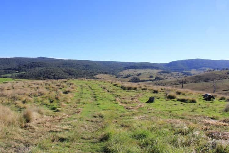 Second view of Homely ruralOther listing, Lot 1 Bruxner Highway, Tenterfield NSW 2372