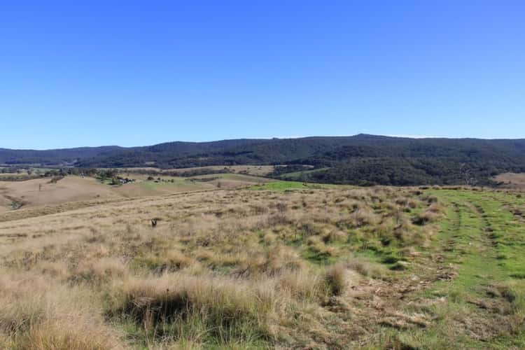 Third view of Homely ruralOther listing, Lot 1 Bruxner Highway, Tenterfield NSW 2372