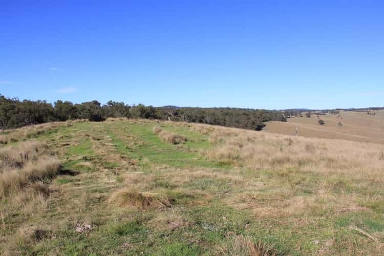 Sixth view of Homely ruralOther listing, Lot 1 Bruxner Highway, Tenterfield NSW 2372