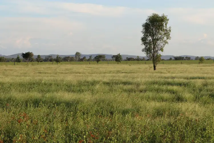 Second view of Homely rural property listing, 167 Pandora Road, Alton Downs QLD 4702