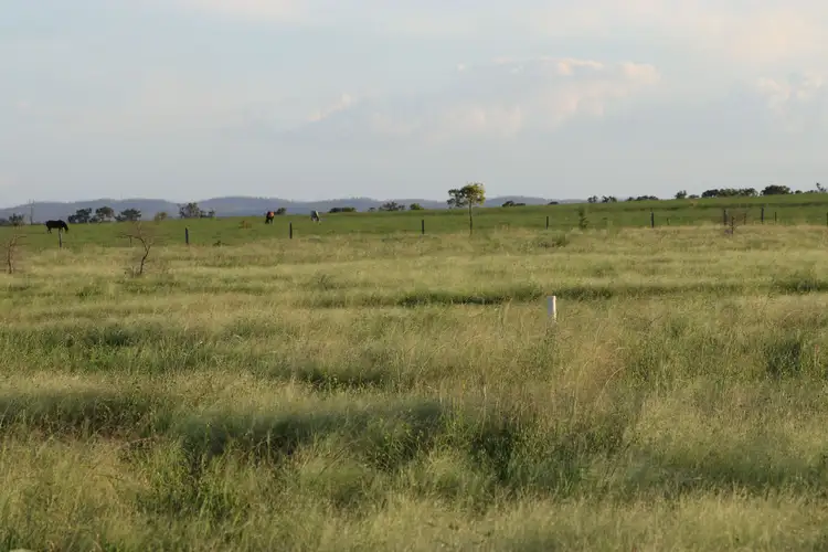 Fourth view of Homely rural property listing, 167 Pandora Road, Alton Downs QLD 4702