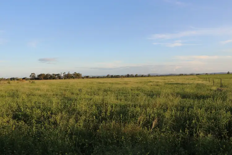 Fifth view of Homely rural property listing, 167 Pandora Road, Alton Downs QLD 4702