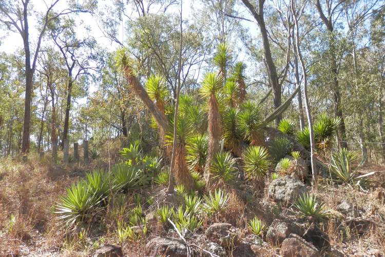 Main view of Homely residentialLand listing, Lot 220 Rifle Range Road, Deebing Heights QLD 4306